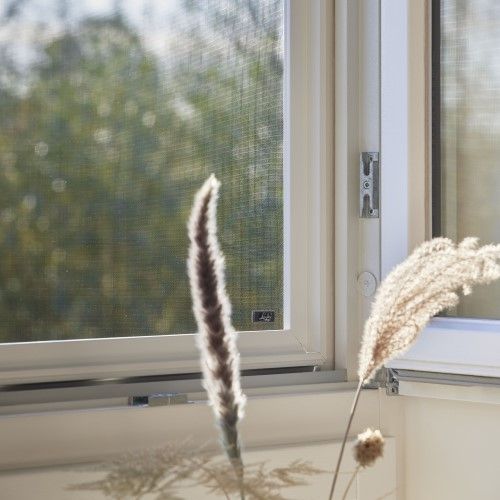 Schoonmaken.jpg